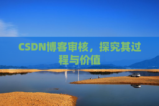 CSDN博客审核，探究其过程与价值